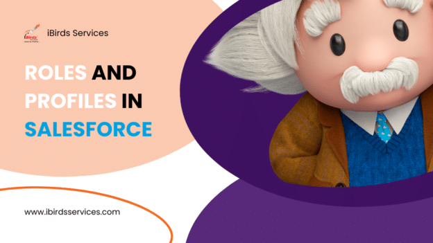 Roles and Profiles in Salesforce: The Ultimate 2024 Guide
